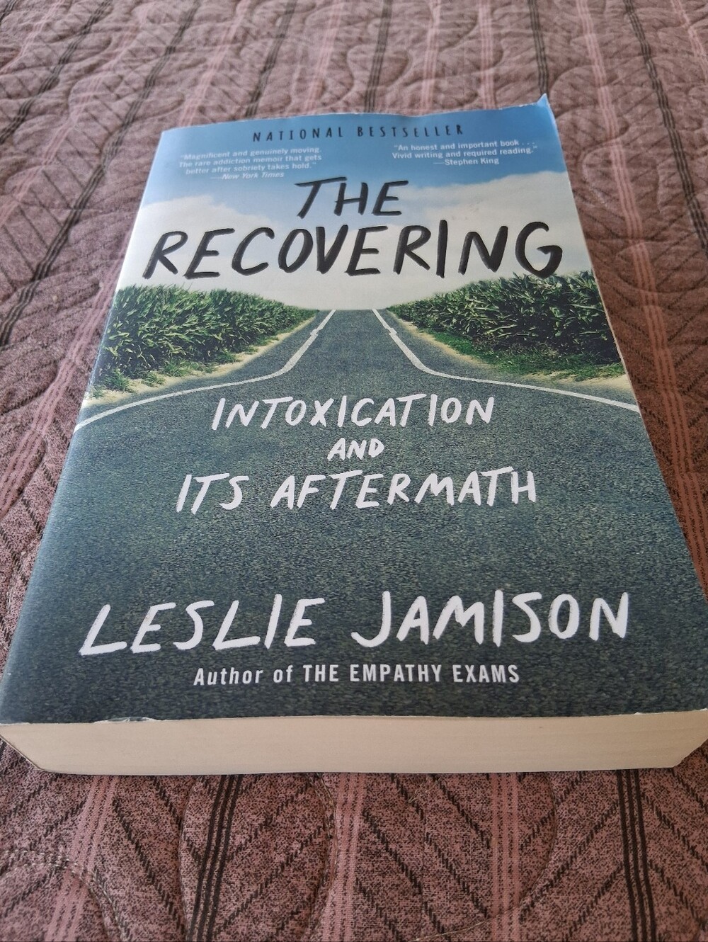 The Recovering: Intoxication & Its Aftermath Addiction Recovery Sobriety Sober